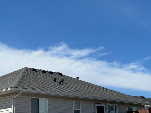  West Whittier Los Nietos, CA Roofing Service Pros